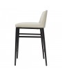 BS-001 Counter Stool