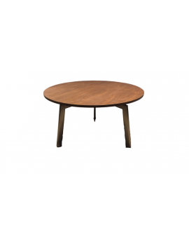 CT-007 Coffee Table