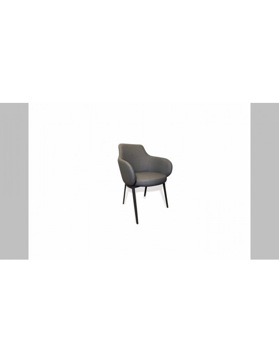 DC-045 Dining Chair