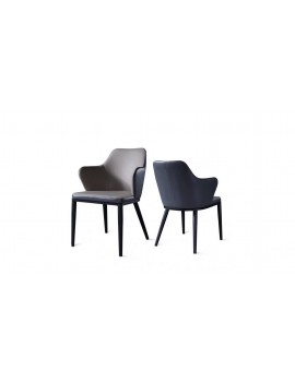 DC-113 Dining Chair