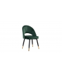 DC-117 Dining Chair