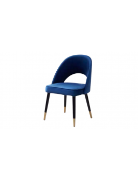 DC-117 Dining Chair