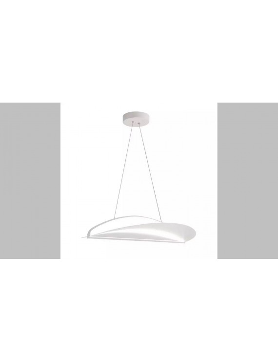 TL-006 Pendant Light 