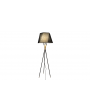 TL-186 Floor Lamp